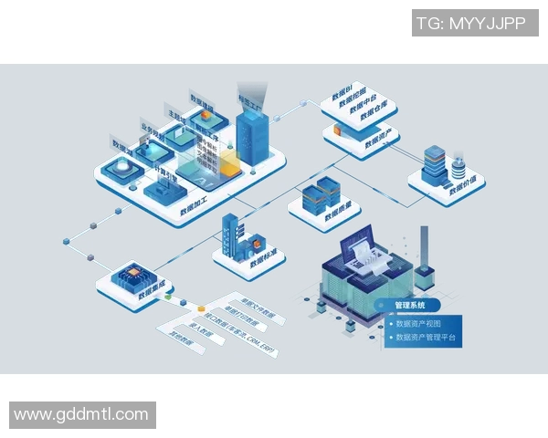 互联网时代信息流通变革与数字化转型对社会各领域深远影响分析